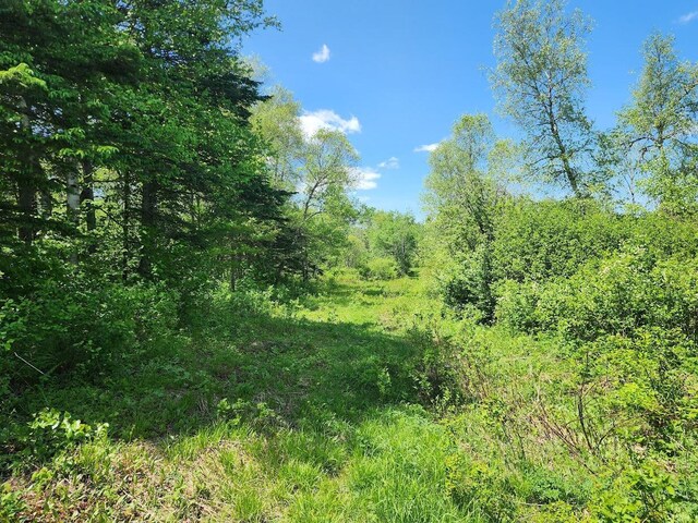 M7L52 Boundary Line Rd, Hamlin, ME 04785 - photo 4