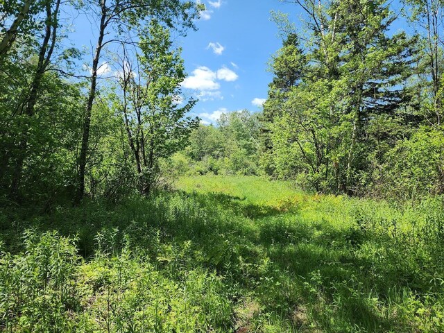 M7L52 Boundary Line Rd, Hamlin, ME 04785 - photo 7