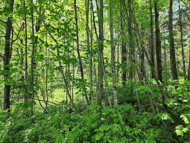 M7L52 Boundary Line Rd, Hamlin, ME 04785 - photo 9
