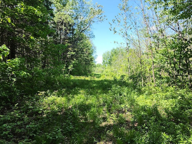 M7L52 Boundary Line Rd, Hamlin, ME 04785 - photo 2
