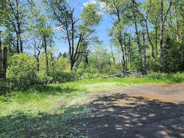 M7L52 Boundary Line Rd, Hamlin, ME 04785 - photo 5