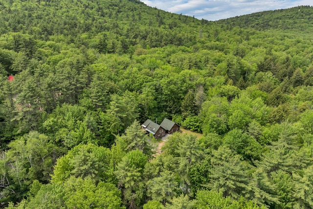 12 Michaud Ln, Bridgton, ME 04009 - view from above of property with a heavily wooded area