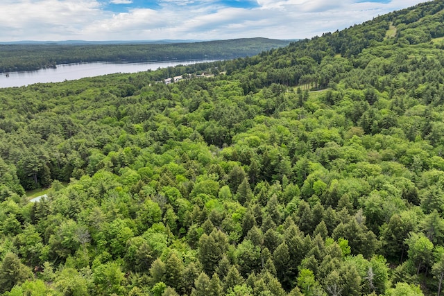 12 Michaud Ln, Bridgton, ME 04009 - bird's eye view of a large body of water and a forest