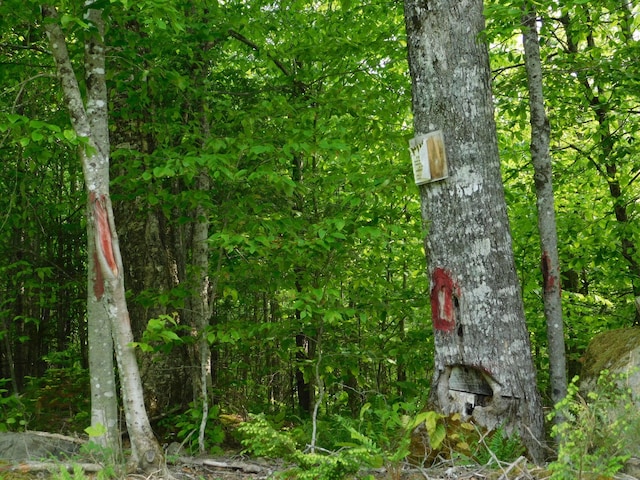 121 Parkman Hill Rd, Solon, ME 04979