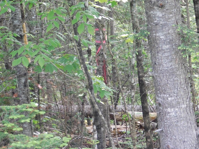 121 Parkman Hill Rd, Solon, ME 04979