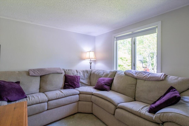 40 Shaw Ave, Rockland, ME 04841 - photo 15