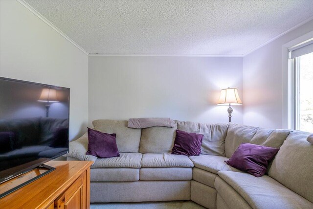 40 Shaw Ave, Rockland, ME 04841 - photo 16
