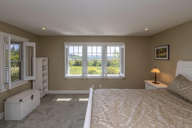 321 Beech Hill Rd, Northport, ME 04849 - bedroom with multiple windows, baseboards, carpet flooring, and recessed lighting