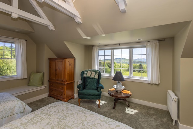 321 Beech Hill Rd, Northport, ME 04849 - carpeted bedroom with radiator heating unit, lofted ceiling, and baseboards