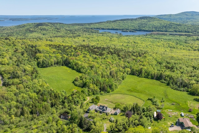 321 Beech Hill Rd, Northport, ME 04849 - aerial view of a forest and a large body of water