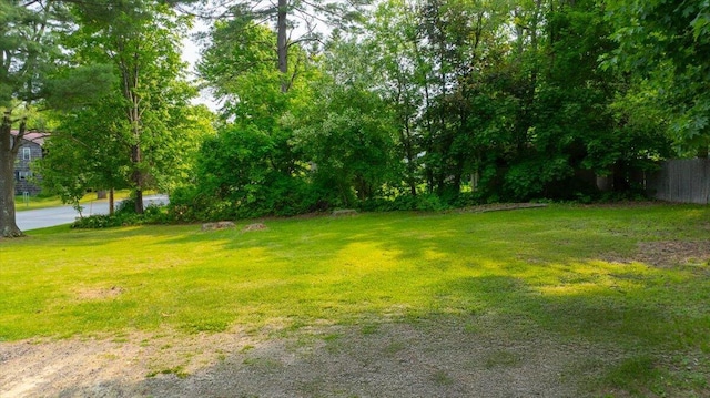 46 Jeffrey St, Lewiston, ME 04240 - view of yard