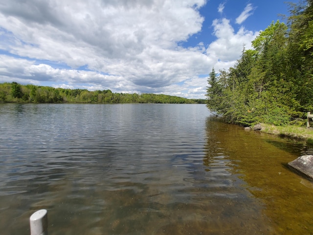 10 Lakeview Dr, Garland, ME 04939 - water view with a forest