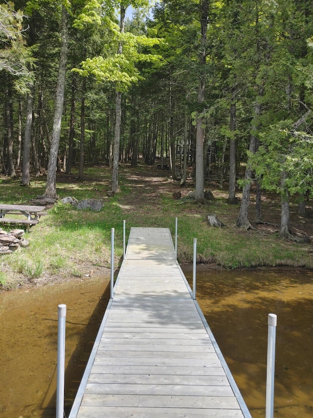 10 Lakeview Dr, Garland, ME 04939 - view of dock