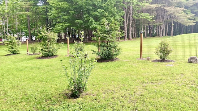 11 Lewis Rd, Sidney, ME 04330 - view of yard