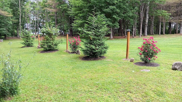 11 Lewis Rd, Sidney, ME 04330 - view of yard