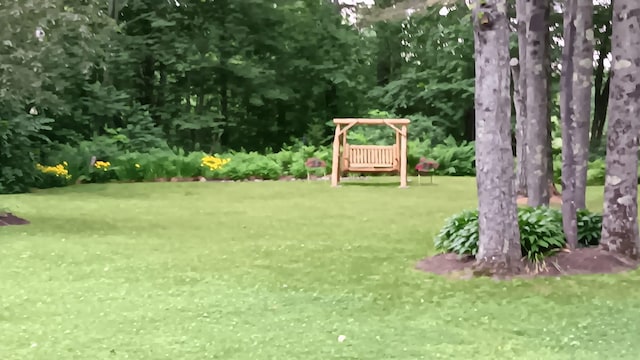 11 Lewis Rd, Sidney, ME 04330 - view of grassy yard