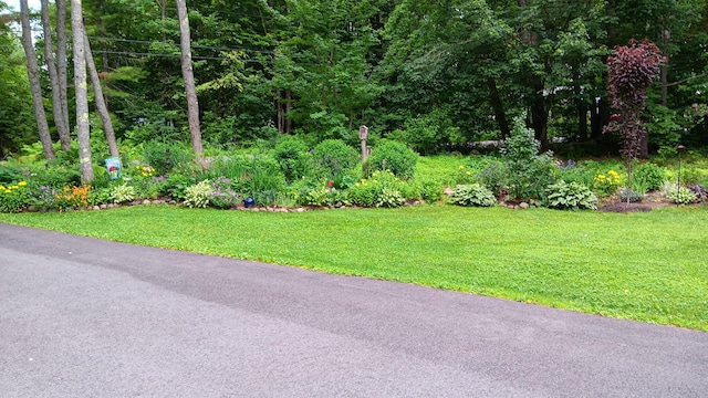 11 Lewis Rd, Sidney, ME 04330 - view of green lawn
