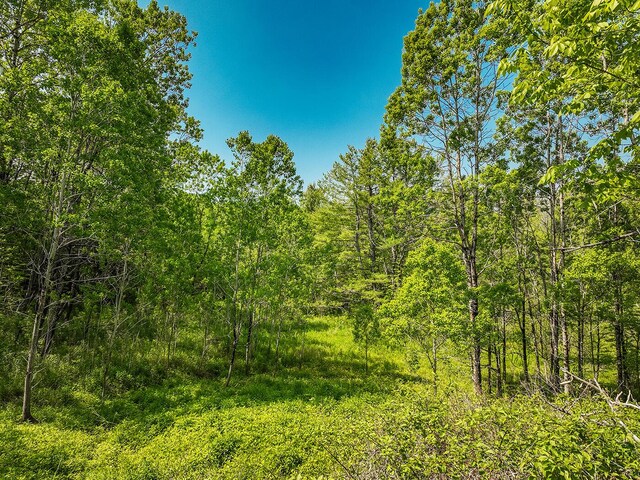 0 Branch Brook Rd, Thomaston, ME 04861 - photo 2