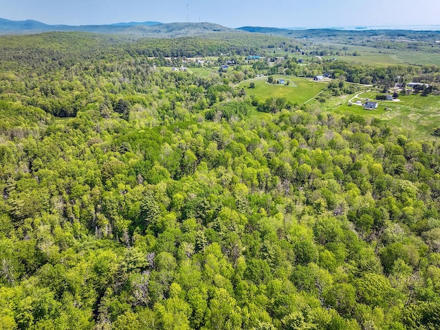 0 Branch Brook Rd, Thomaston, ME 04861 - photo 6