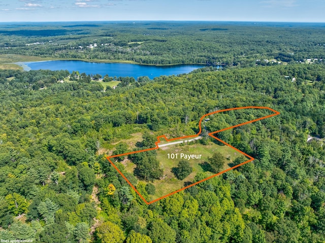 101 Payeur Ln, Alfred, ME 04002 - photo 2