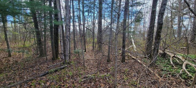 M4L13-15 Shore Rd, Sinclair, ME 04779
