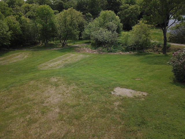 13 Main St, Cambridge, ME 04923 - view of green lawn