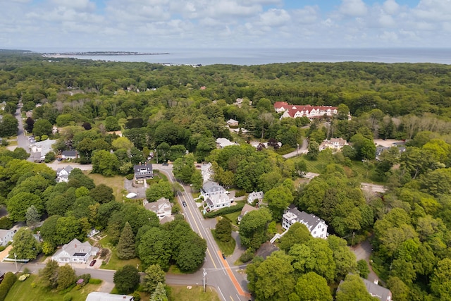 60 Barrell Ln Unit 1, York, ME 03909 - aerial view of a forest and a large body of water