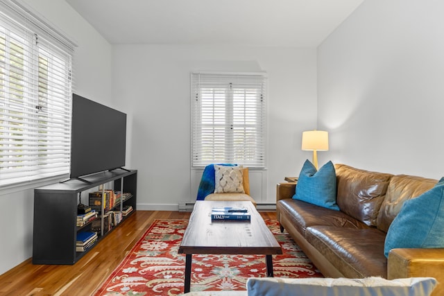 60 Barrell Ln Unit 1, York, ME 03909 - living room with wood finished floors and a baseboard heating unit
