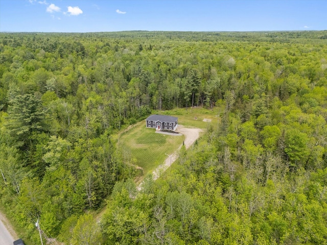 45 Doughty Blvd, Levant, ME 04456