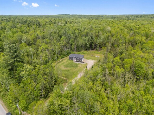45 Doughty Blvd, Levant, ME 04456 - view of subject property featuring a heavily wooded area