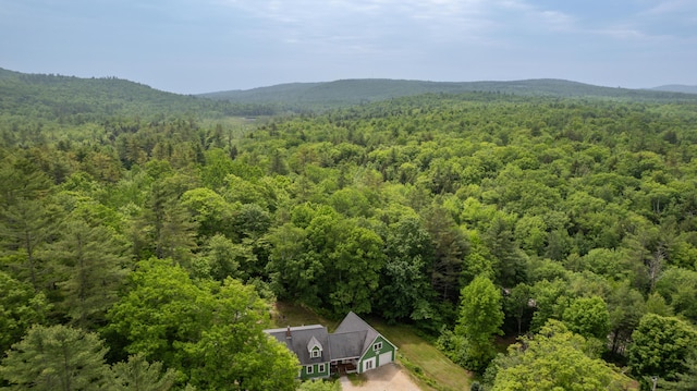 310 Fields Hill Rd, Sumner, ME 04292 - view of subject property with a forest and a mountain backdrop