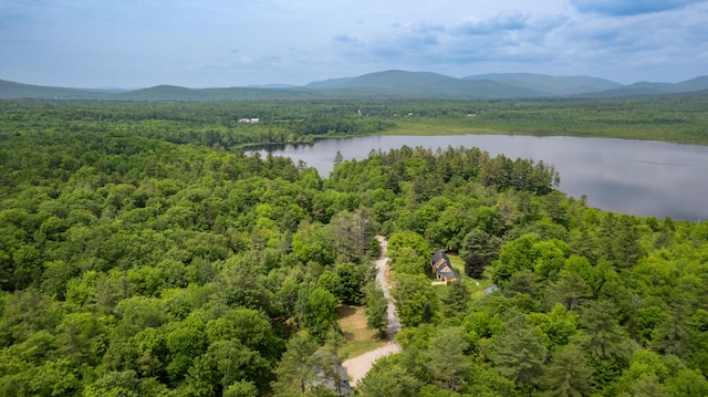 310 Fields Hill Rd, Sumner, ME 04292 - aerial view of a forest and a water and mountain view