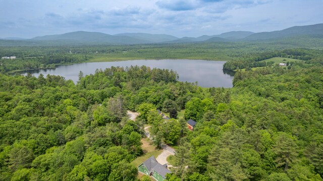 310 Fields Hill Rd, Sumner, ME 04292 - bird's eye view of a forest and a water and mountain view
