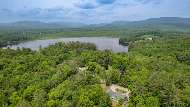 310 Fields Hill Rd, Sumner, ME 04292 - aerial view of a heavily wooded area and a water and mountain view