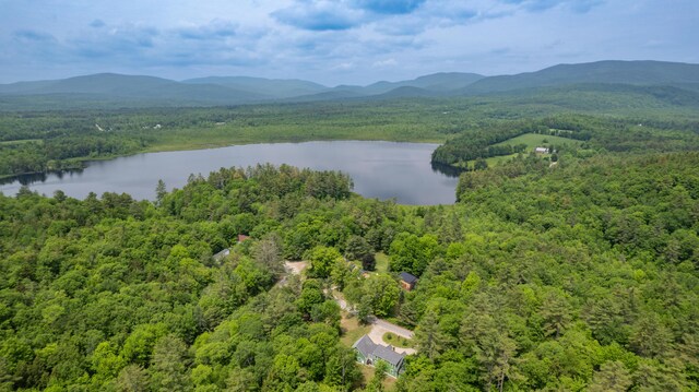 310 Fields Hill Rd, Sumner, ME 04292 - aerial view of property's location with a heavily wooded area and a water and mountain view