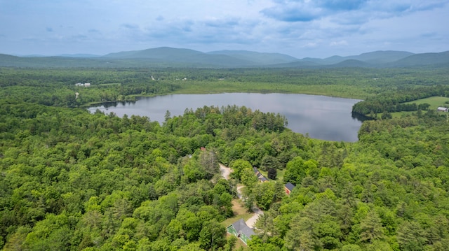 310 Fields Hill Rd, Sumner, ME 04292 - bird's eye view of a heavily wooded area and a water and mountain view