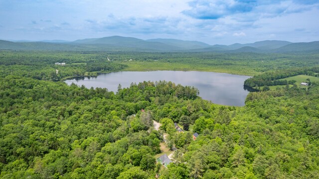 310 Fields Hill Rd, Sumner, ME 04292 - bird's eye view of a heavily wooded area and a water and mountain view