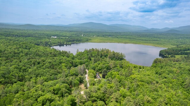 310 Fields Hill Rd, Sumner, ME 04292 - bird's eye view of a heavily wooded area and a water and mountain view