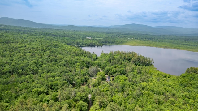 310 Fields Hill Rd, Sumner, ME 04292 - view of mountain background with a forest and a nearby body of water