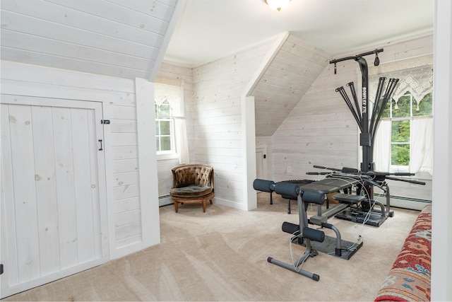 310 Fields Hill Rd, Sumner, ME 04292 - workout room featuring plenty of natural light, wood walls, carpet floors, vaulted ceiling, and baseboard heating