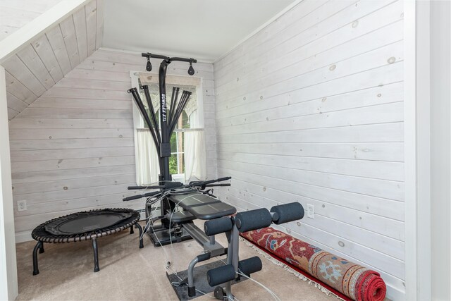 310 Fields Hill Rd, Sumner, ME 04292 - workout area featuring wood walls, carpet, and vaulted ceiling