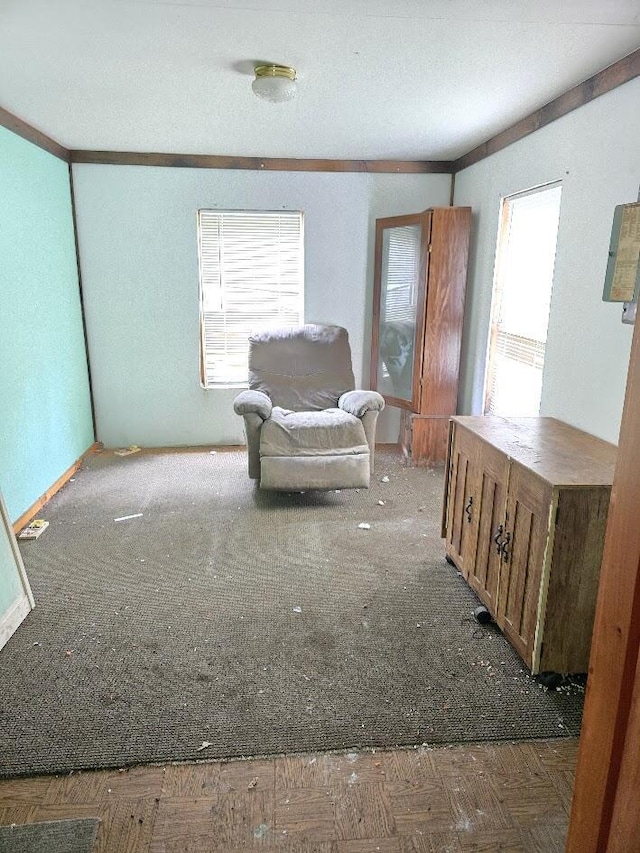 230 Todds Corner Rd, Saint Albans, ME 04971 - view of living area