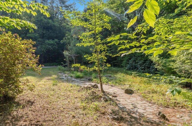 32 Milky Way Ln, Durham, ME 04222 - view of yard featuring a view of trees