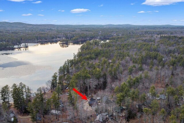 41 Sunny Ln, Sanford, ME 04073 - aerial view of property's location featuring a forest and a large body of water