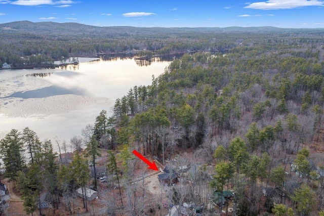 41 Sunny Ln, Sanford, ME 04073 - aerial view of property and surrounding area with a heavily wooded area and a water and mountain view