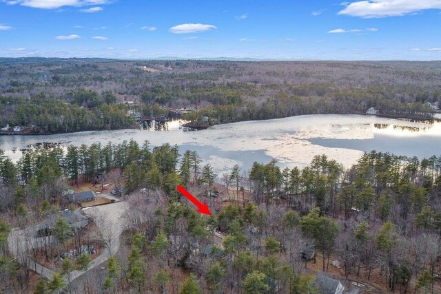 41 Sunny Ln, Sanford, ME 04073 - aerial view of property and surrounding area featuring a heavily wooded area and a nearby body of water
