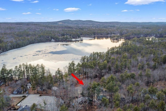 41 Sunny Ln, Sanford, ME 04073 - aerial view of property and surrounding area with a heavily wooded area and a water and mountain view