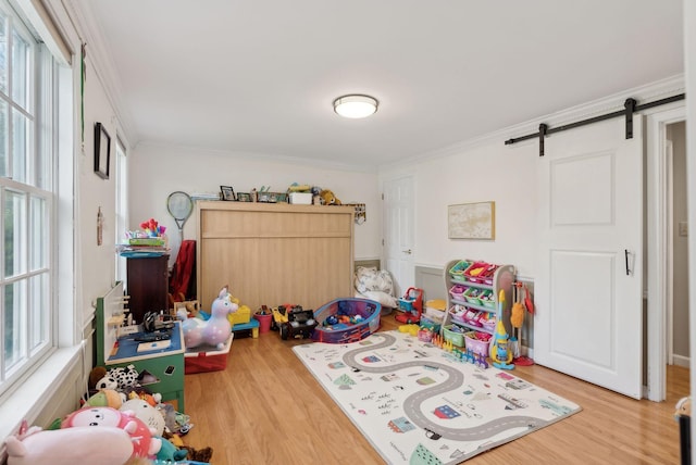 47 Old Post Ln, Sanford, ME 04073 - rec room with wood finished floors, crown molding, and a barn door