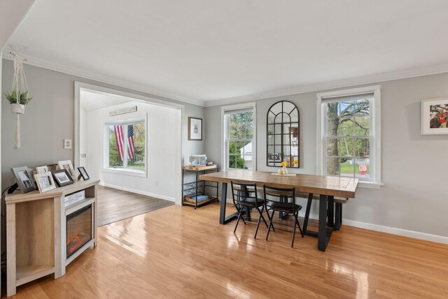47 Old Post Ln, Sanford, ME 04073 - dining room featuring ornamental molding, light wood-style floors, plenty of natural light, and baseboards