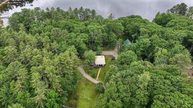 20 Rabbit Ln, Naples, ME 04055 - aerial view of property and surrounding area with a nearby body of water and a forest